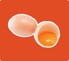 Telur Omega